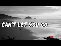 Lagu Can’t Let You Go (Official Music Video lyrics)