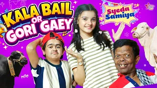 Kala Bail Or Gori Gaey | New Song 2026 | Syeda Samiya | Official Video | Star Play