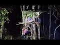 Download Lagu Camping hujan deras mahluk halus tidak sengaja terekam kamera tidur nyenyak di rumah pohon