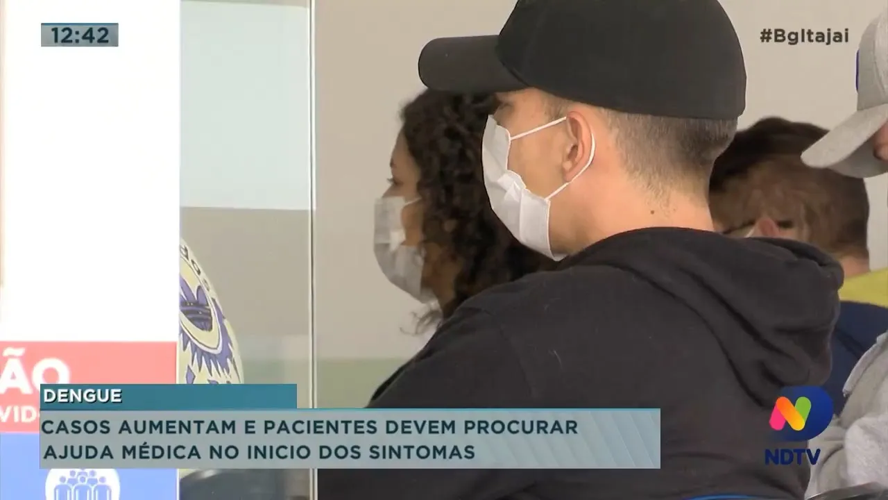Casos de dengue aumentam e pacientes devem procurar ajuda médica no início dos sintomas