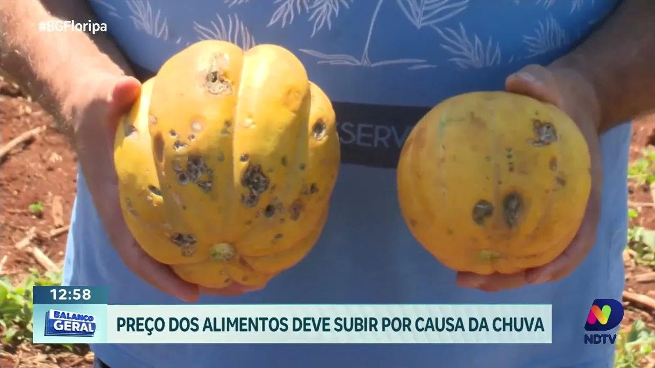 Impacto das chuvas em SC: agricultura afetada e preço de alimentos em alta