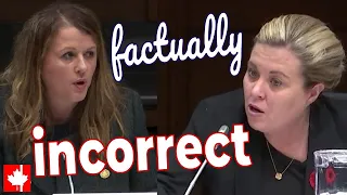 Factually Incorrect Tory Critic Blasts Liberal Chair For Spreading Mistruths About Refugee Benefits 