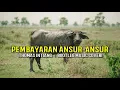 Lagu Pembayaran Ansur Ansur - Thomas Intiang | Bootleg Music Cover by SHS