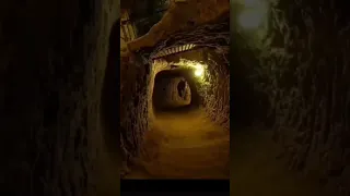 كيف اتخيل رواية ارض زيكولا شارك هذه الفيديو Shorts 