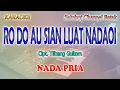 RO DO AU SIAN LUAT NADAO I ll KARAOKE BATAK ll CIPT  TILHANG GULTOM ll NADA PRIA BES=DO
