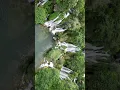 Download Lagu Amazing #waterfalls in #Bosnia #drone #dji #videography #djimini3pro