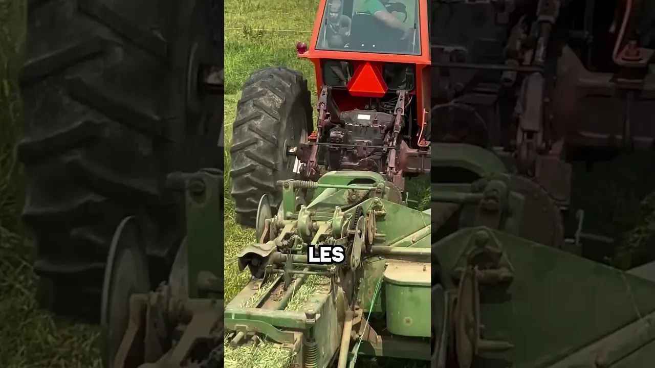 C'est tellement beau