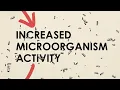 Explained Carbon Cycle Feedback Loops Ecology 101