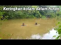Download Lagu Keringkan kolam dalam hutan..! 