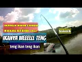 Download Lagu Gak kecil Ikanya bikin candu‼️WEEL TENG IKAN  ||WGM TERBARU||MANCING MANIA||MANCING NYOBOK