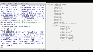 Understanding the Python OS module with experimentation