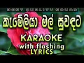 Download Lagu Kameliya Mal Suwadata Karaoke with Lyrics (Without Voice)
