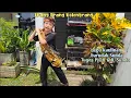 Download Lagu Trang trang kolentrang - Lagu kaulinan barudak - Kawih Sunda - Tugas PJOK dan Bahasa Sunda kelas 3