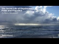 The Secret Life of Daydreams Pride and Prejudice Piano Tutorial