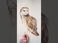 Barn Owl watercolor painting