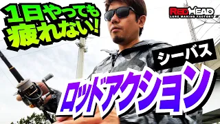 シーバスロッドアクション解説講座！1日やっても疲れにくい効率よくロッドアクションを入れる方法