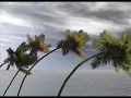 風雨同路 - 徐小鳳 Paula Tsui (audio)