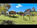 Download Lagu ELES MORAM NESSE PARAÍSO, ONDE A ÁGUA BROTA NUM LAGEDO 