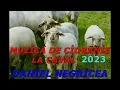Download Lagu █▬█ █ ▀█▀ -2023- COLAJ DE MUZICA DE CIOBANIE  -DANIEL NEGRICEA  -COLAJ -DE CIOBANIE  -LA CAVAL