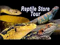 Reptile Shop Tour Giant Monitors Exotic Reptiles