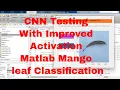 How To Test Your CNN To Detect Mango Leaf Diseases GUI