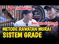 Download Lagu MERAWAT MURAI DIBAYAR 350 RIBU ‼️ AWR MASTERING CETAK JAWARA MURAI