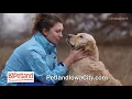 Petland Iowa City Store Tour Values Breeders 60s