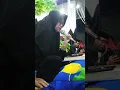 Download Lagu Suara lembut Qori Nurul Hidayanti Haflah Terbaru 2021
