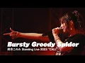 Download Lagu 鈴木このみ / Bursty Greedy Spider（Official Live Video）