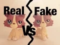 LPS Real Vs Fake Collie