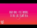 Avril Lavigne - Losing Grip
