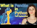 Pandas in Python This Python Library Runs the Entire Data World Pandas FULL Explanation