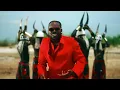 Adekunle Gold, Zinoleesky - Party No Dey Stop (Official Music Video)