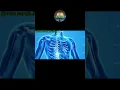 Download Lagu At Tarik surah (86)