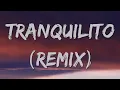 Gerardo Ortiz, Aleman - Tranquilito (Remix) (Lyrics)