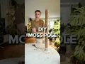 Super easy way of making your own Moss Poles Check out my channel for more tutorials
