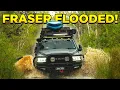 Download Lagu Exploring Fraser Island's Hidden Secrets... No one goes here