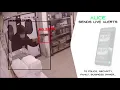 Alice Guardian in Action - Gun detection