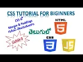 Web Develpment Course CSS tutorial for beginners Magins padding in CSS class 9