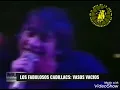 LOS FABULOSOS CADILLACS VASOS VACIOS con CELIA CRUZ