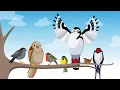 Alle Vögel sind schon da - Kinderlieder zum Mitsingen | Sing Kinderlieder