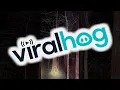 Firefighters Cut Down Tree Burning From the Inside ViralHog