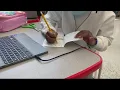 Success stories of DC schools offering in person learning