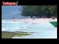 Download Lagu Joe Mellow Mood - Once Upon a Time (Gili Trawangan)