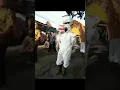 pocong jatuh dari kranda (17 agustus )#shorts