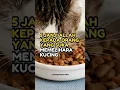 Download Lagu INILAH 5 JANJI ALLAH KEPADA ORANG YANG SUKA MEMELIHARA KUCING #shorts #shortvideo #nasihat #dakwah