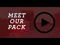 Hollywood Feed CDL Team