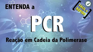 Teste de PCR – Reação em Cadeia da Polimerase I BIOLOGIA MOLECULAR