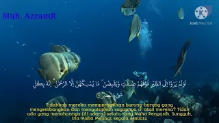 Download SURAH AL -MULK RECITER : FADLI ABDULLAH MP3