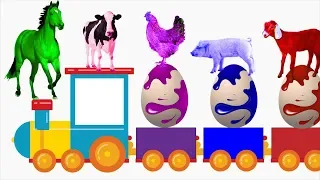 Download Pelajari Warna Dengan Telur Super dan Hewan Ternak | Nama Dan Suara Hewan Ternak | Tokek MP3